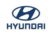 Hyundai Veriton Auto Diagnostic